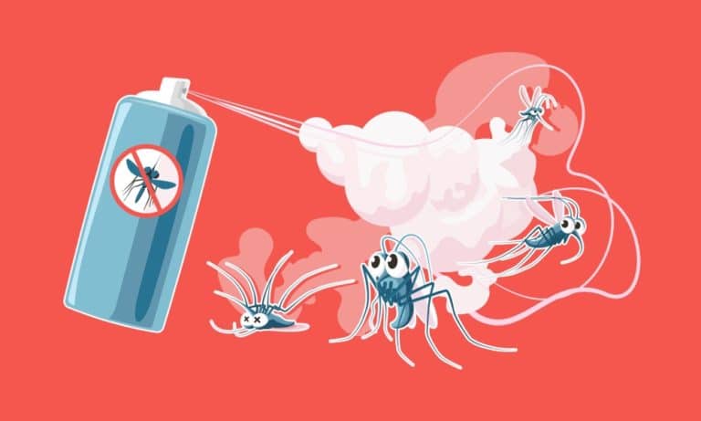 5 façons d’éloigner les moustiques et d’éviter (vraiment) leurs piqûres