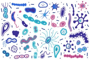 Microbiote cutané : tout savoir !
