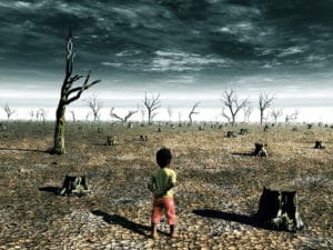 Réchauffement climatique : les 5 dangers pour la santé humaine
