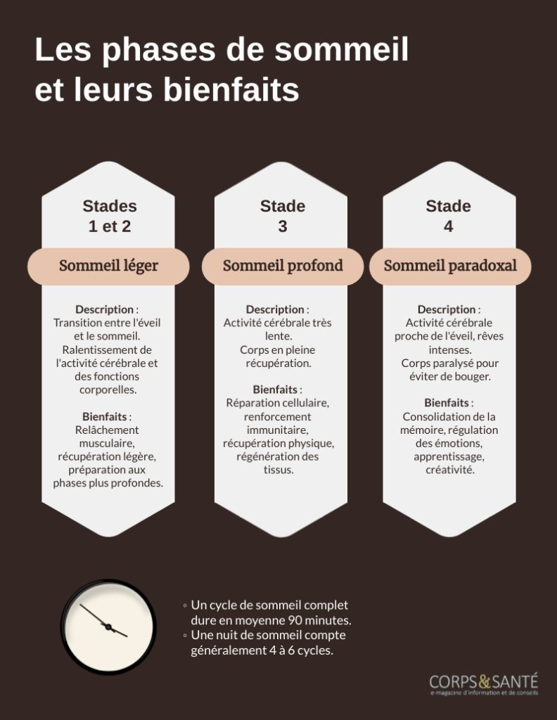 L’importance de chaque phase du sommeil dans notre infographie