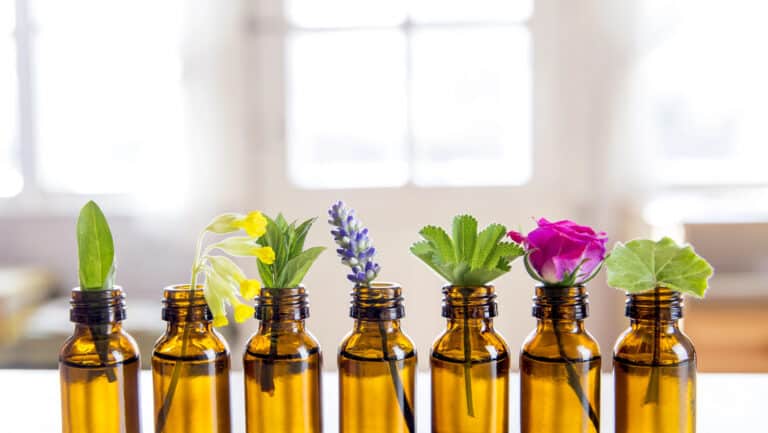 Aromathérapie : comment les huiles essentielles soutiennent le mental